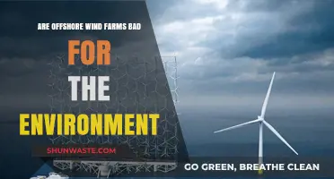 Offshore Wind Farms: Environmental Impact and Sustainability Concerns