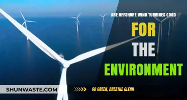 Offshore Wind Turbines: Environmental Benefits and Potential Impacts Explored