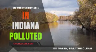 Indiana's Ohio River Tributaries: Polluted or Pristine?