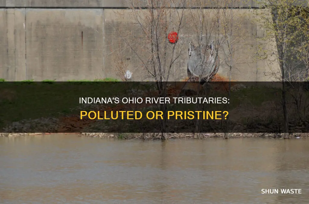 are ohio river tributaries in indiana polluted