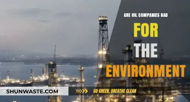 Oil Companies' Environmental Impact: Harmful Practices or Necessary Evil?