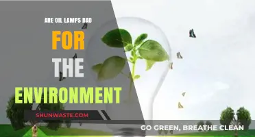 Are Oil Lamps Eco-Friendly? Environmental Impact Explained