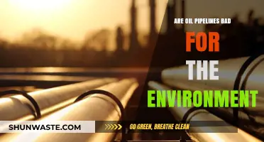 Environmental Impact of Oil Pipelines: Risks, Damage, and Sustainability Concerns