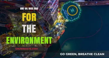 Environmental Impact of Oil Rigs: Harmful or Manageable?