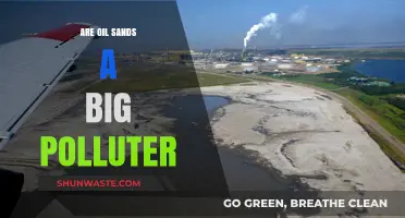 Oil Sands: A Major Environmental Concern?