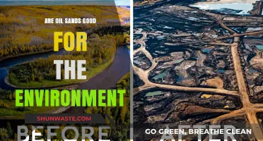 Oil Sands: Environmental Impact and Sustainability Concerns Explored