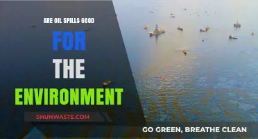 Are Oil Spills Good for the Environment? Unraveling the Myth