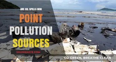 The Impact of Oil Spills: Non-Point Pollution Sources