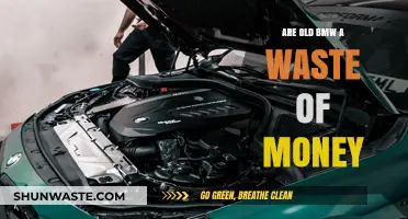 Are Old BMWs Worth It or a Costly Mistake?
