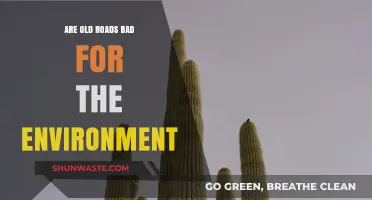 Old Roads' Environmental Impact: A Hidden Threat to Our Planet?