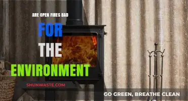 Open Fires and the Environment: Uncovering Their Ecological Impact