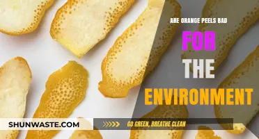 Are Orange Peels Eco-Friendly? Uncovering Their Environmental Impact