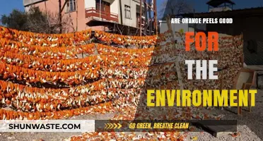 Orange Peels: Eco-Friendly Benefits and Environmental Impact Explained