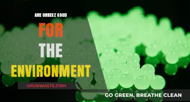 Eco-Friendly Orbeez: Uncovering Their Environmental Impact and Sustainability