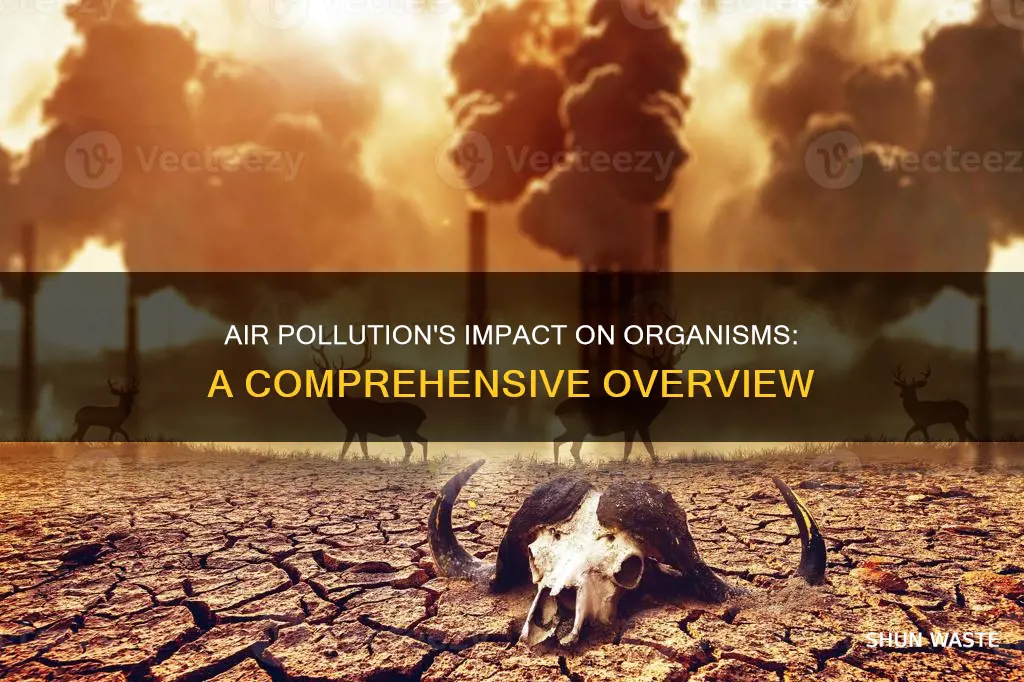 are other organisms being affected by air pollution