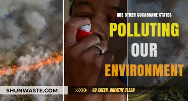 Sugarcane States: Polluting Our Environment?