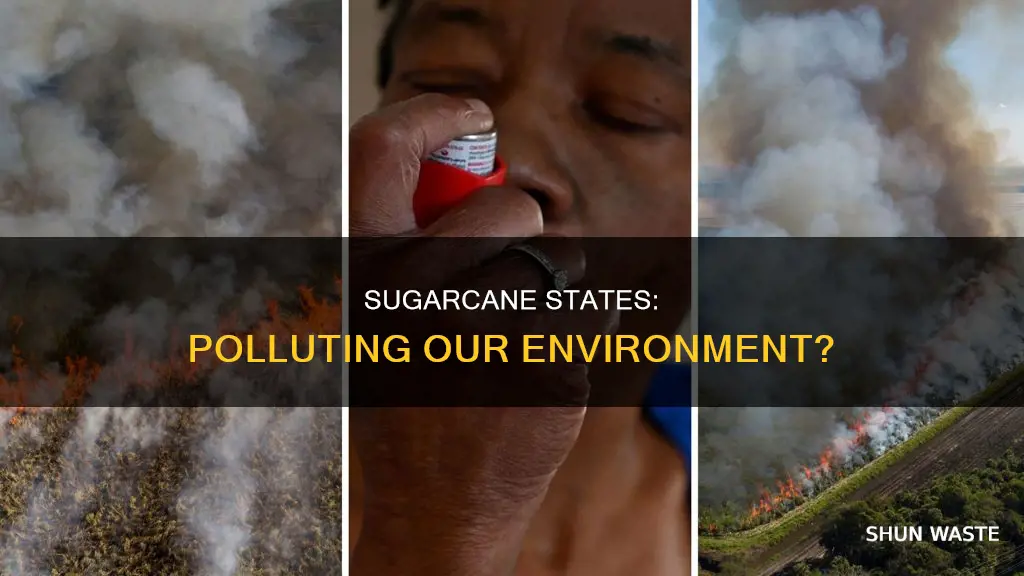are other sugarcane states polluting our environment