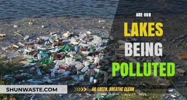The Polluted Truth: Are Our Lakes at Risk?