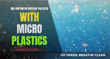 Unseen Plastic Threat: Microplastics in Our Water