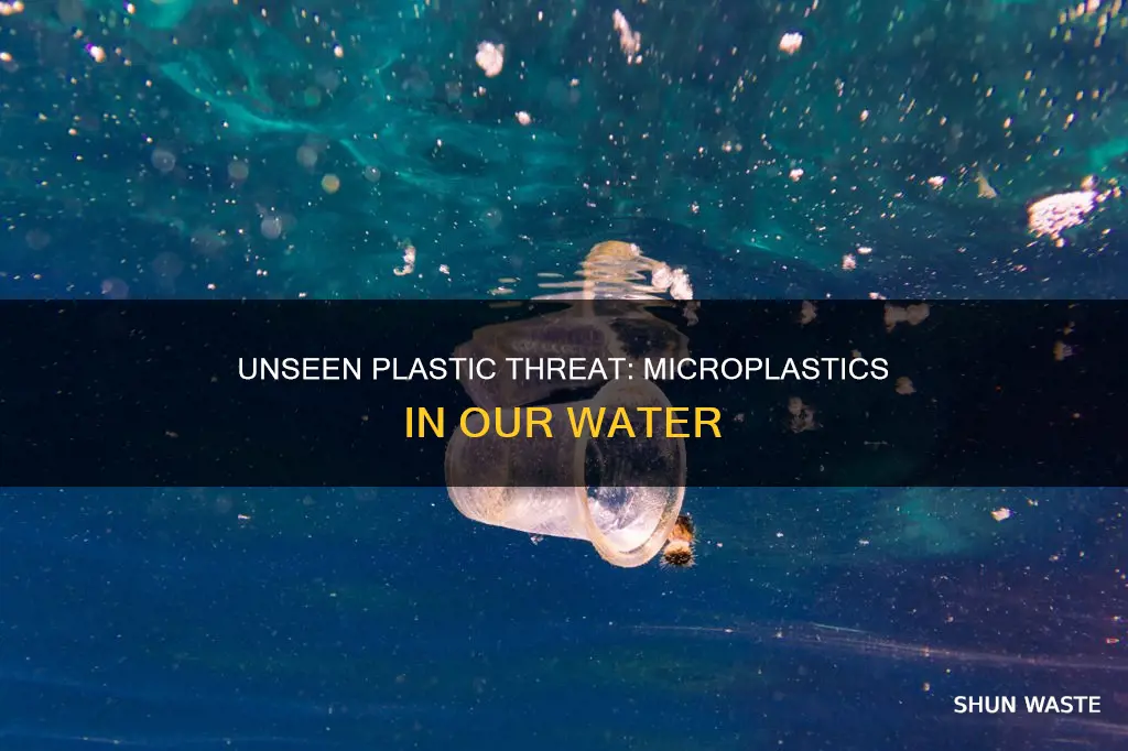 are our water supplies polluted with micro plastics