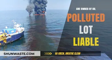 Oil-polluted lots: Who is liable for the cleanup?