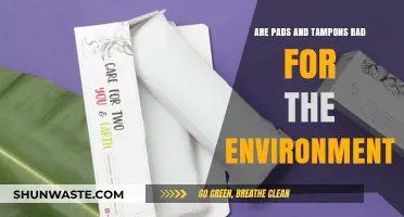 Eco-Friendly Periods: Are Pads and Tampons Harming Our Planet?