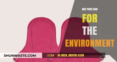 Are Pads Eco-Friendly? Exploring Their Environmental Impact and Alternatives