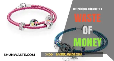 Are Pandora Bracelets Worth It or a Waste of Money?