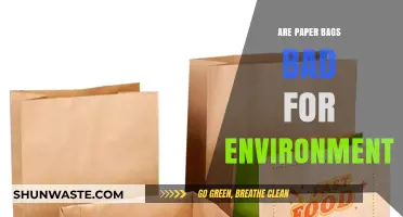 Are Paper Bags Eco-Friendly? Uncovering Their Environmental Impact