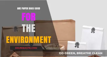 Are Paper Bags Eco-Friendly? Unpacking Their Environmental Impact