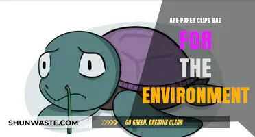 Paper Clips' Environmental Impact: Small Office Supply, Big Eco-Footprint?