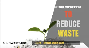 Paper Companies' Waste Reduction Efforts: Sustainable Practices or Greenwashing?