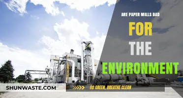 Paper Mills' Environmental Impact: Sustainable Practices vs. Ecological Concerns
