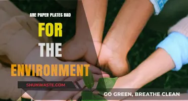 Paper Plates vs. Environment: Uncovering the Hidden Ecological Impact