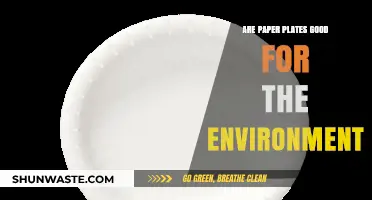 Are Paper Plates Eco-Friendly? Uncovering Their Environmental Impact