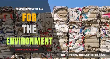 Paper Products and the Environment: Uncovering Their True Ecological Impact