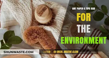 Are Paper Q-Tips Eco-Friendly? Uncovering Their Environmental Impact