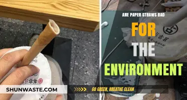 Paper Straws vs. Plastic: Uncovering the Environmental Impact