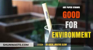 Paper Straws vs. Plastic: Are They Eco-Friendly Alternatives?