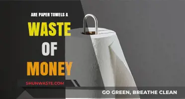 Paper Towels: Practical Necessity or Costly Disposable Waste?