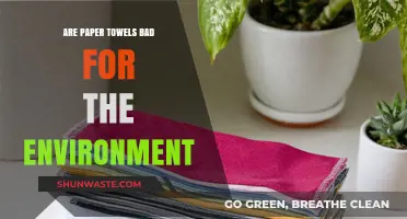 Paper Towels vs. Planet: Uncovering Their Environmental Impact and Alternatives