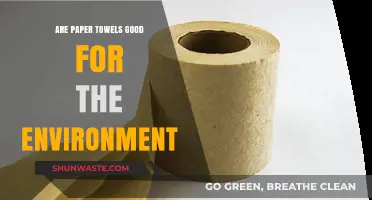 Paper Towels vs. Environment: Are They Eco-Friendly or Harmful?