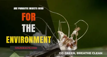 Parasitic Insects: Unseen Allies in Ecosystem Balance and Health