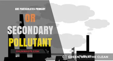 Particulates: Primary or Secondary Pollutants?