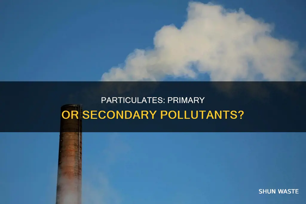 are particulates primary or secondary pollutant