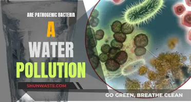 Pathogenic Bacteria: The Hidden Threat in Water Pollution