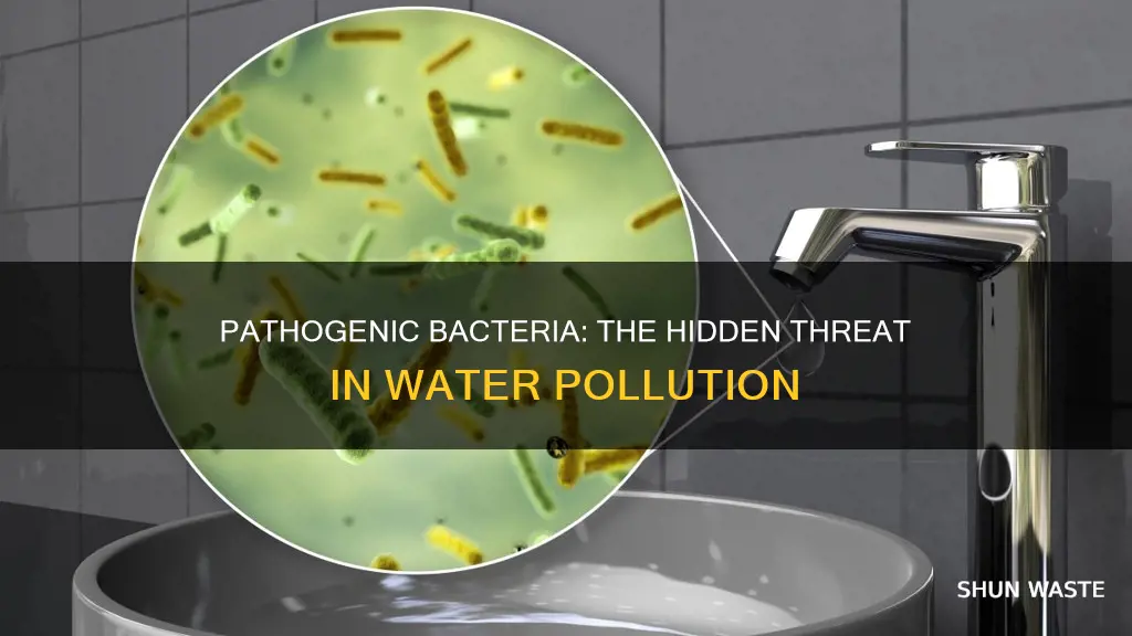 are pathogenic bacteria a water pollution