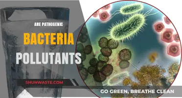 Pathogenic Bacteria: Pollutants or Not?