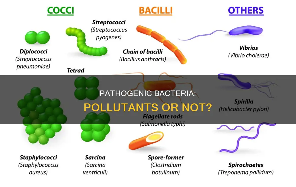 are pathogenic bacteria pollutants