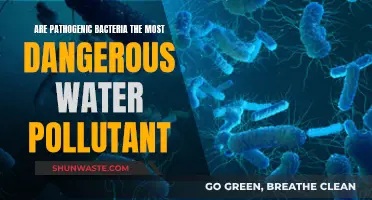 Pathogenic Bacteria: The Hidden Dangers in Contaminated Water